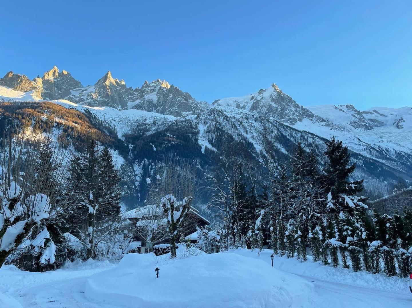 Chalet Hotel La Sapiniere Chamonix Eksteriør bilde